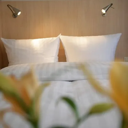 酒店 慕尼黑萨纳特酒店 3*