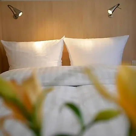 Hotel Senator 3*
